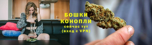 дмт Бронницы
