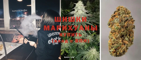 дмт Бронницы