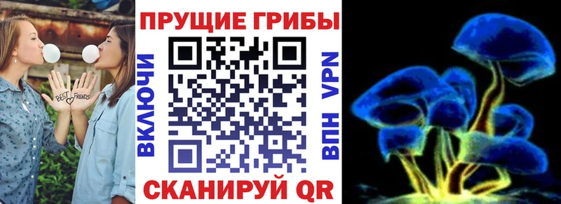 Купить  Маркс  Псилоцибиновые грибы прущие грибы 